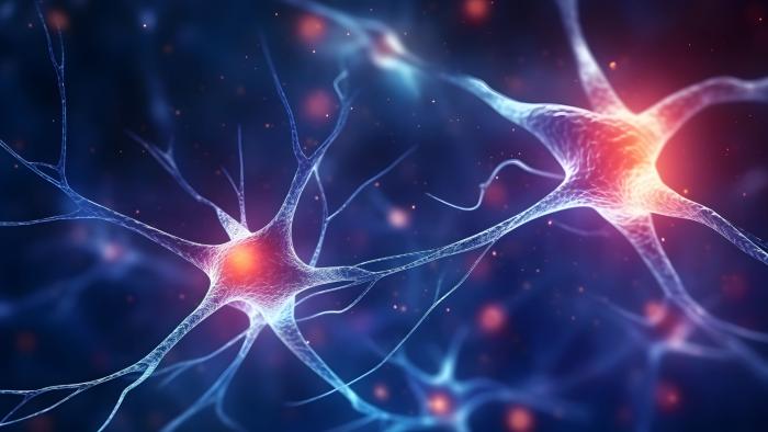 neuronas