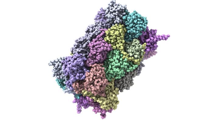 proteínas