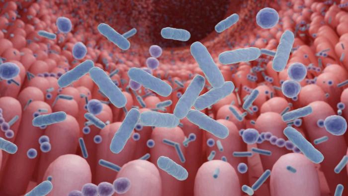 Un artículo de opinión rebate los estudios que vinculan microbiota intestinal y autismo microbioma