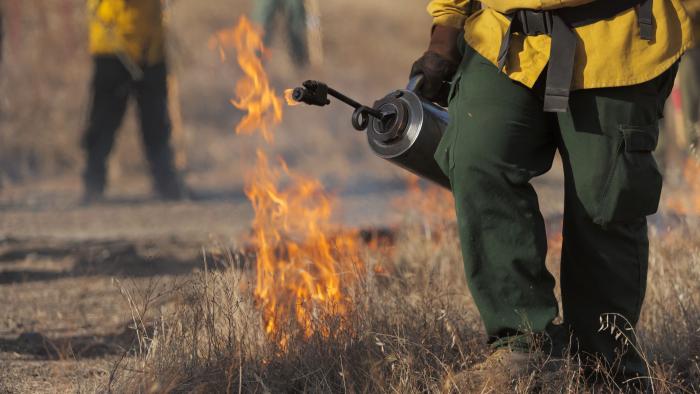 Evalúan los beneficios de la quema prescrita de bosques para la contaminación del aire Fuego controlado